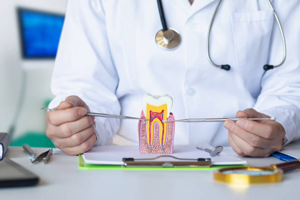 Best Emergency Dental Care for Trauma or Injury in Syosset, NY
